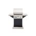 TEC Patio 1 FR Infrared Gas Grill On Black Pedestal with (2) Side Shelves
