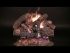 Rasmussen TimberFire (FX Burner) Vented Gas Log Set