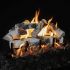 Grand Canyon ASPENSTLOG Quaking Aspen Double Sided Gas Logs Only