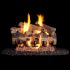 Real Fyre Western Campfyre Designer Vented Gas Log Set, ANSI Certified