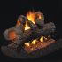 Real Fyre R Golden Oak Stainless Steel Vented Gas Log Set, See-Thru, ANSI Certified