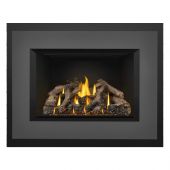 Napoleon GDIX4N Oakville Series Electronic Ignition Direct Vent Gas Fireplace Insert
