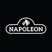 Napoleon EFC-PF0 eFIRE Bluetooth Advanced for BL42 and BL56 Fireplaces