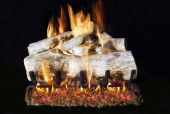Real Fyre MBW Mountain Birch Vented Gas Logs, See-Thru